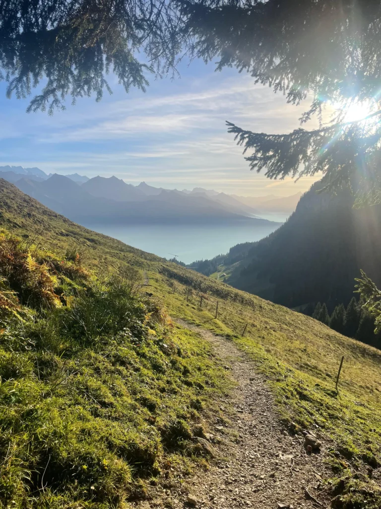 Couché de soleil