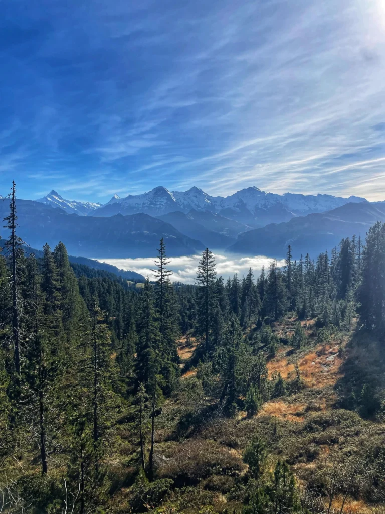 Vue sur l'Eiger